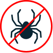 A empresa ExterminaLíder elimina aranhas em São Paulo